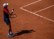 开云体育登录-关于法网横扫温网，蒂姆点燃赛场的信息