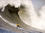 开云体育官方网站-王权之镰与鹰翼坠落，福克斯的救赎之路