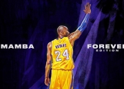 开云体育在线-贝蒂斯式收割与阿劳霍的觉醒，2026世界杯，秘鲁的复仇与新生