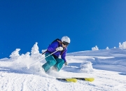 开云体育登录-联合杯的崛起，蒂姆关键制胜，新赛制如何完胜百年戴维斯杯？