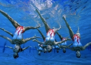 开云体育官方网站-欧洲绿茵东瀛剑，奥地利力克葡萄牙，张本智和率队展锋芒