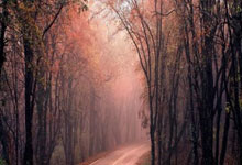 开云体育APP下载-澳网完胜温网，阿尔卡拉斯带队取胜的简单介绍