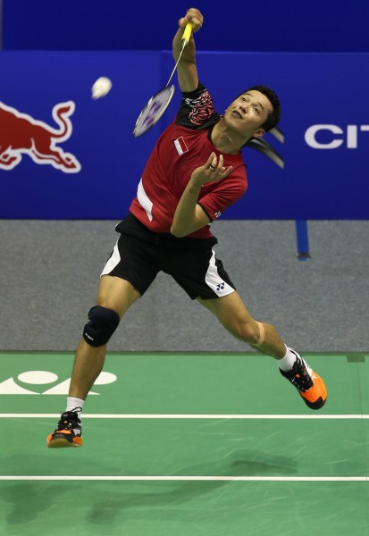 印尼羽毛球队横扫印度羽毛球队，陶菲克惊艳世界的简单介绍