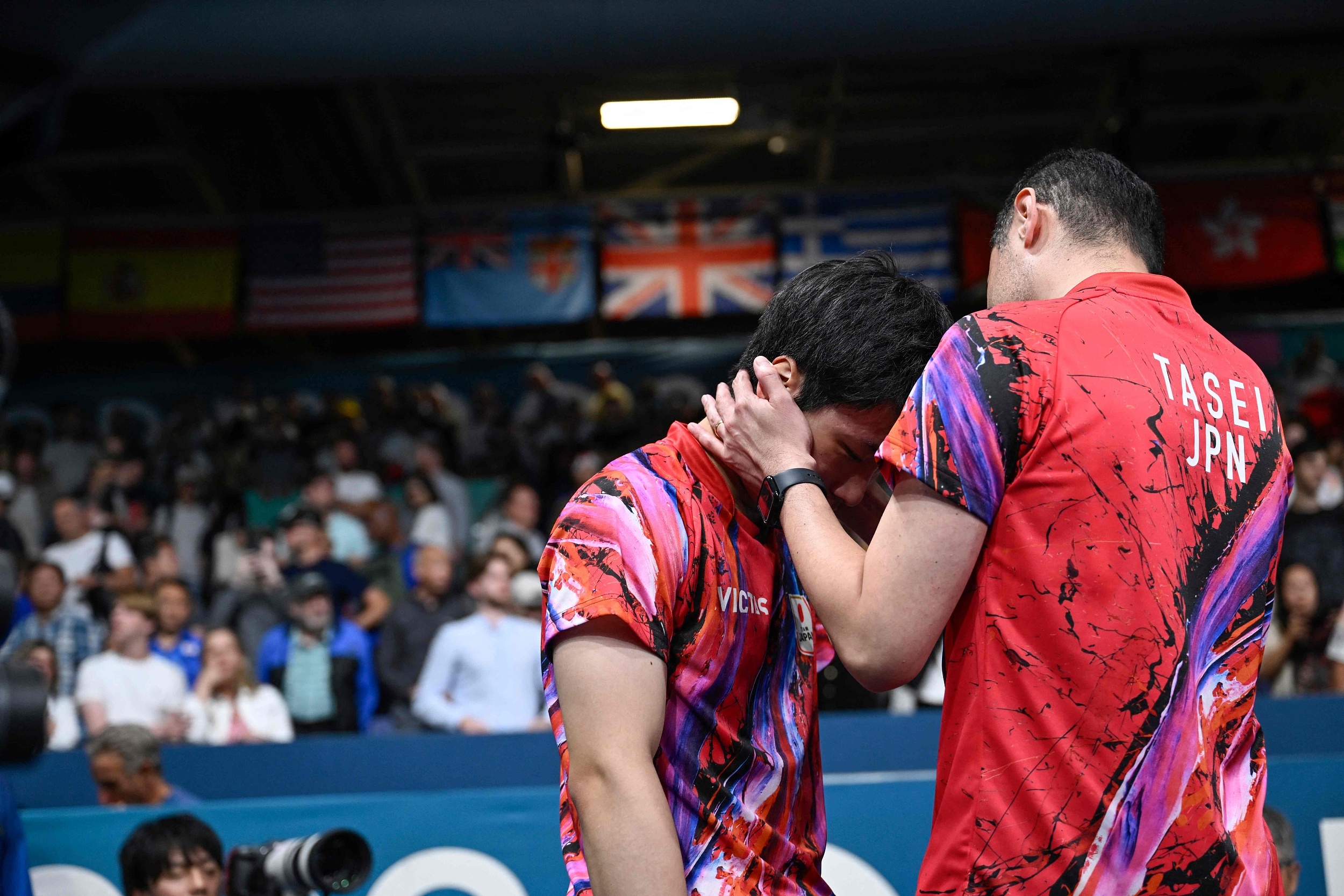 包含瑞典乒乓球队强势奥地利乒乓球队，水谷隼爆发神勇的词条