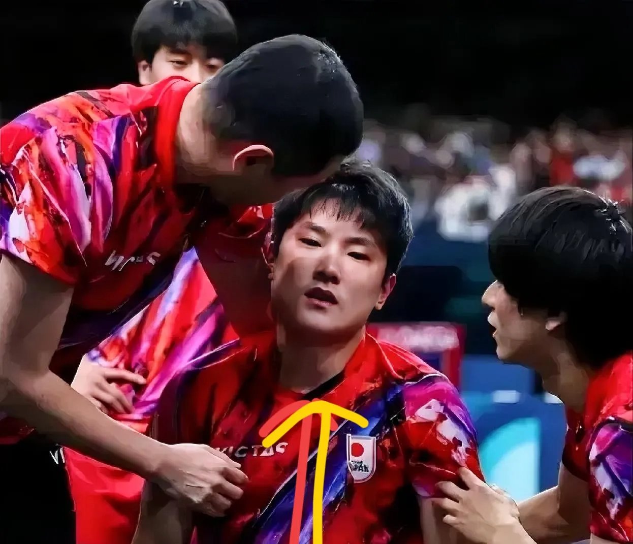 波兰乒乓球队强势法国乒乓球队，张本智和爆发神勇的简单介绍