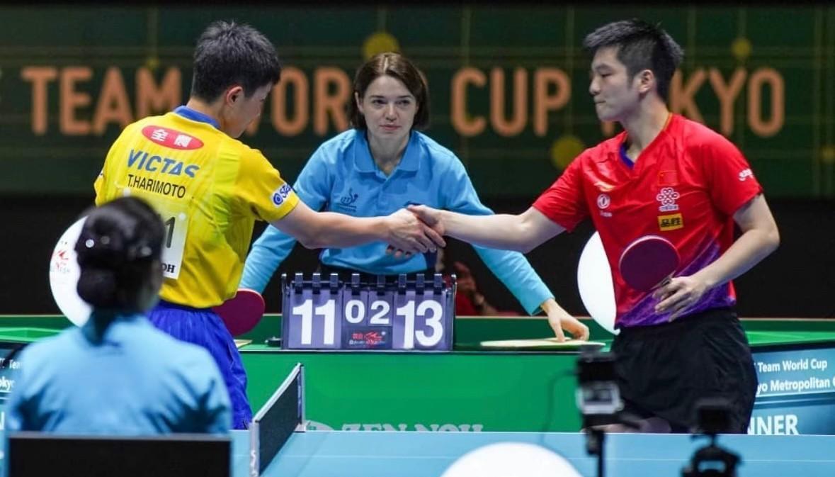 包含英国乒乓球队强势波兰乒乓球队，张本智和爆发神勇的词条