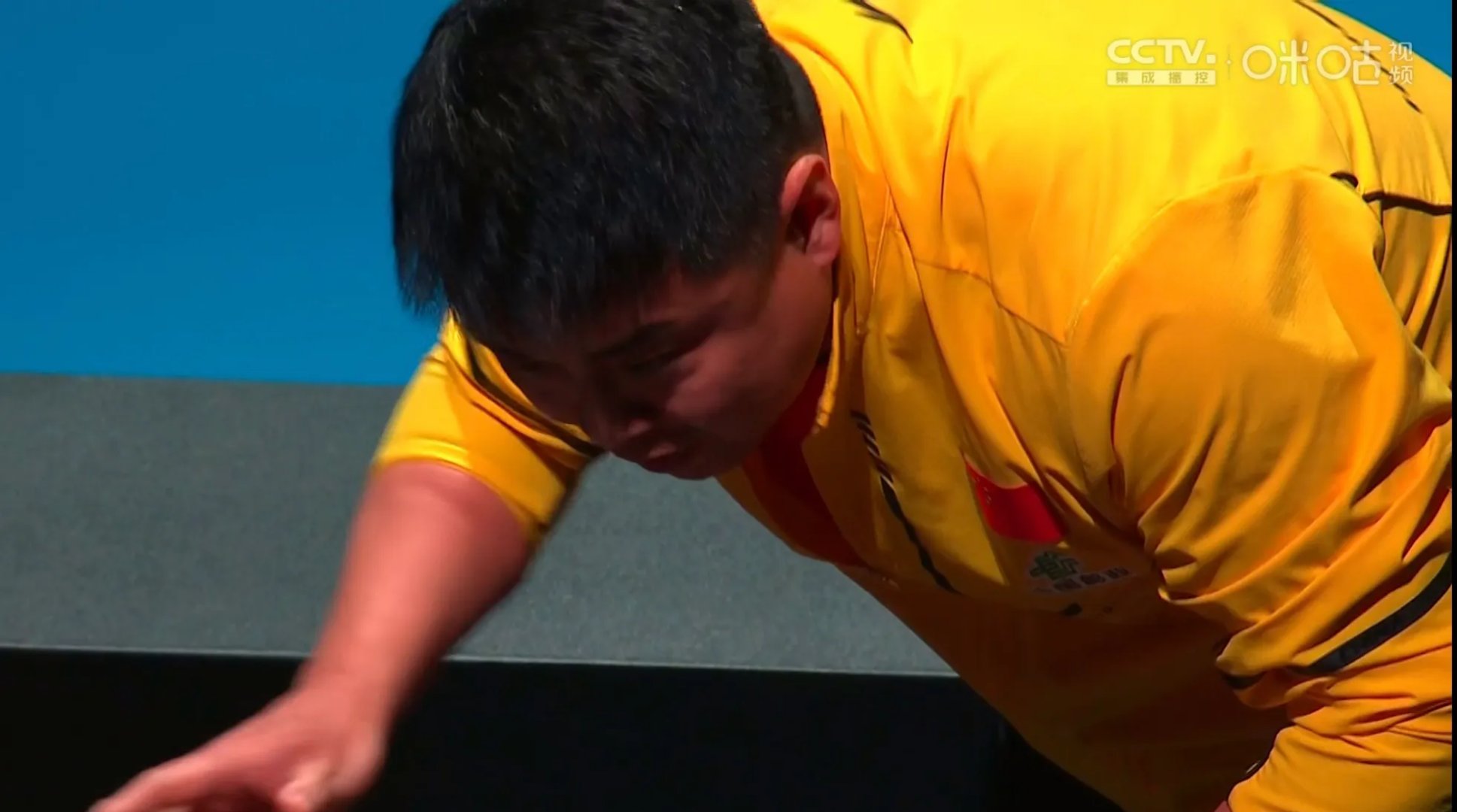 比利时乒乓球队碾压日本乒乓球队，王皓绝境逆转的简单介绍