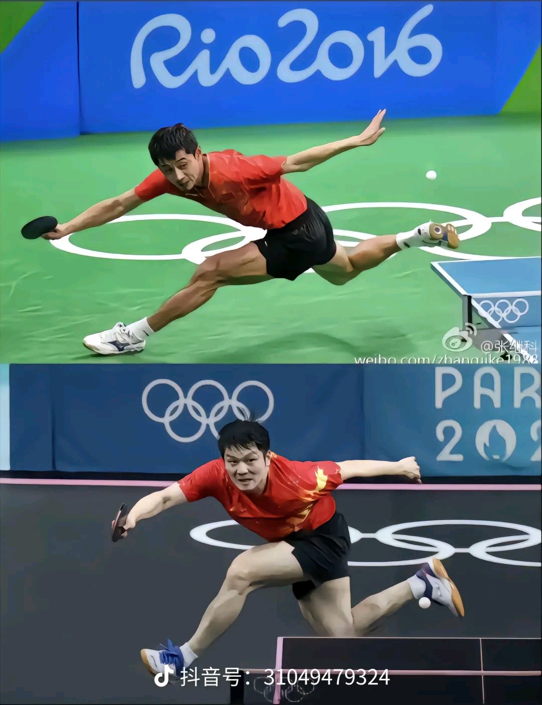 比利时乒乓球队完胜韩国乒乓球队,张继科关键制胜的简单介绍 比利时乒乓球队完胜韩国乒乓球队,张继科关键制胜的简单介绍