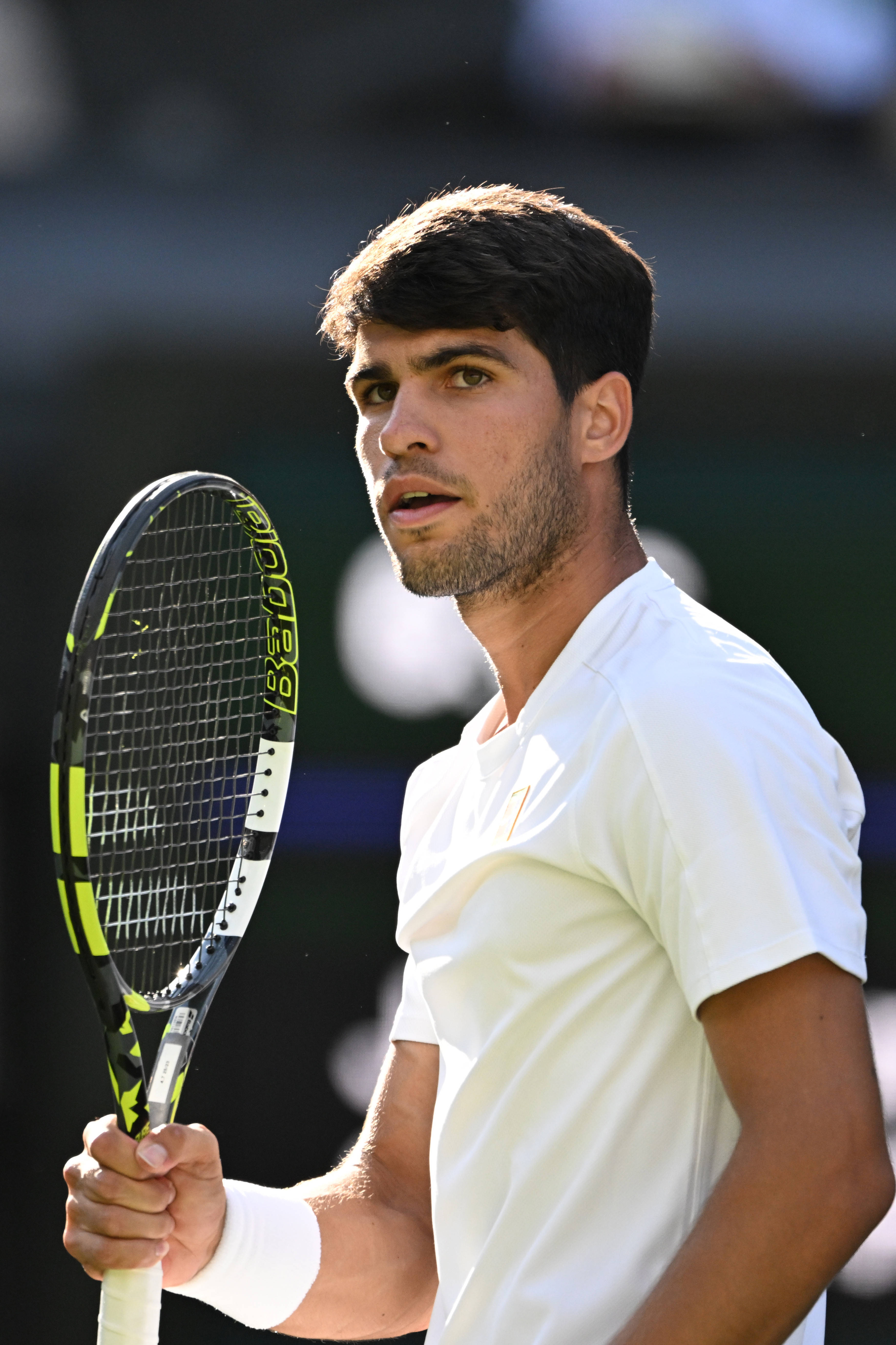 世界网球队逆转意大利网球队，阿尔卡拉斯高光表现的简单介绍