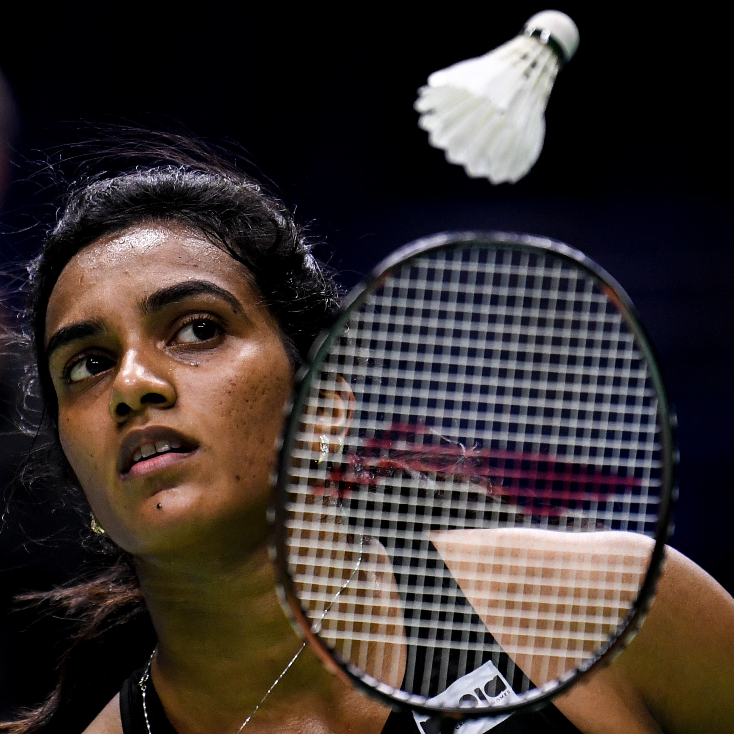 法国羽毛球队轻取日本羽毛球队，辛杜惊艳世界的简单介绍