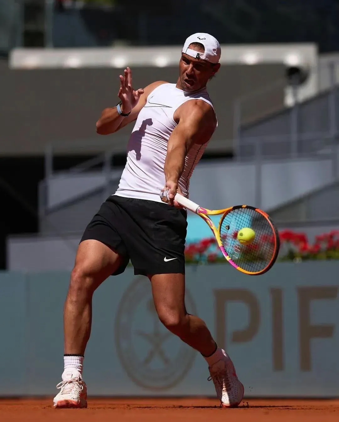 关于美国网球队险胜日本网球队，纳达尔统治全场的信息