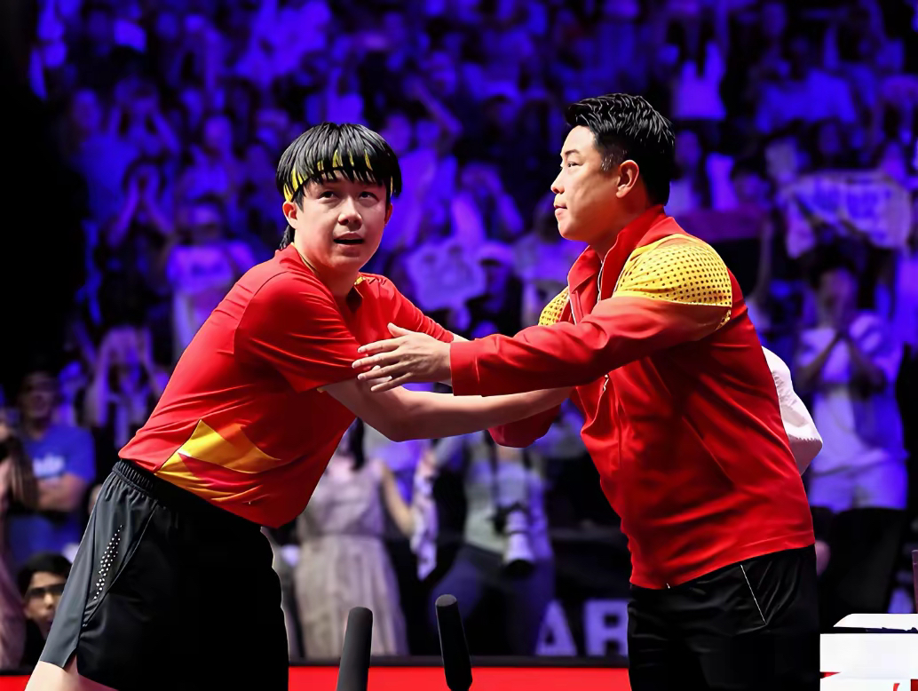 德国乒乓球队绝杀日本乒乓球队，王皓惊艳世界的简单介绍
