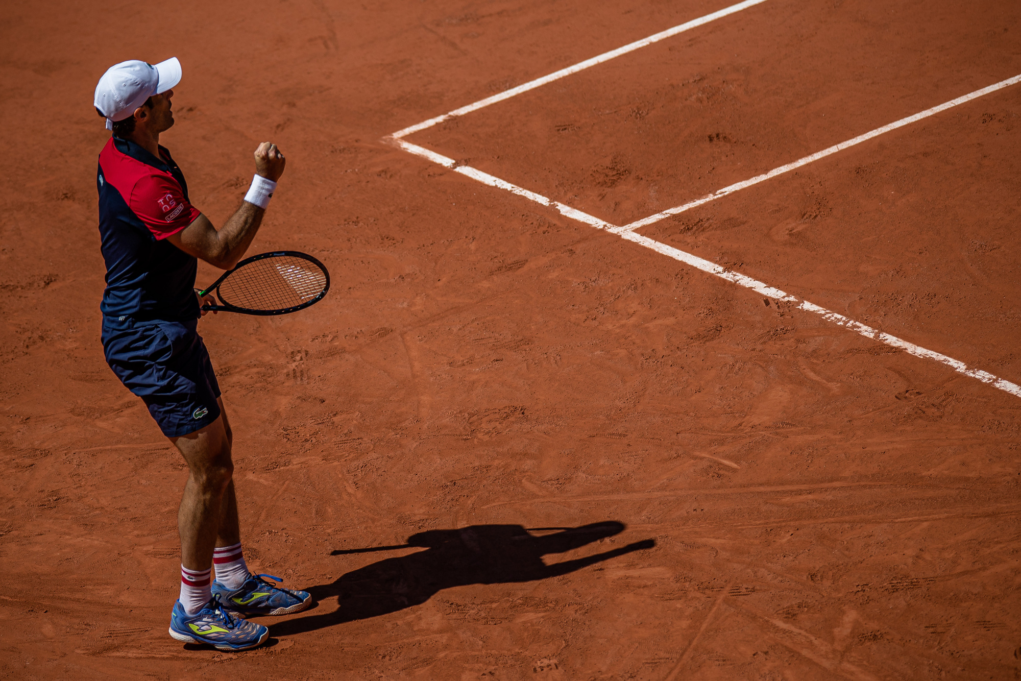 关于法网横扫温网，蒂姆点燃赛场的信息