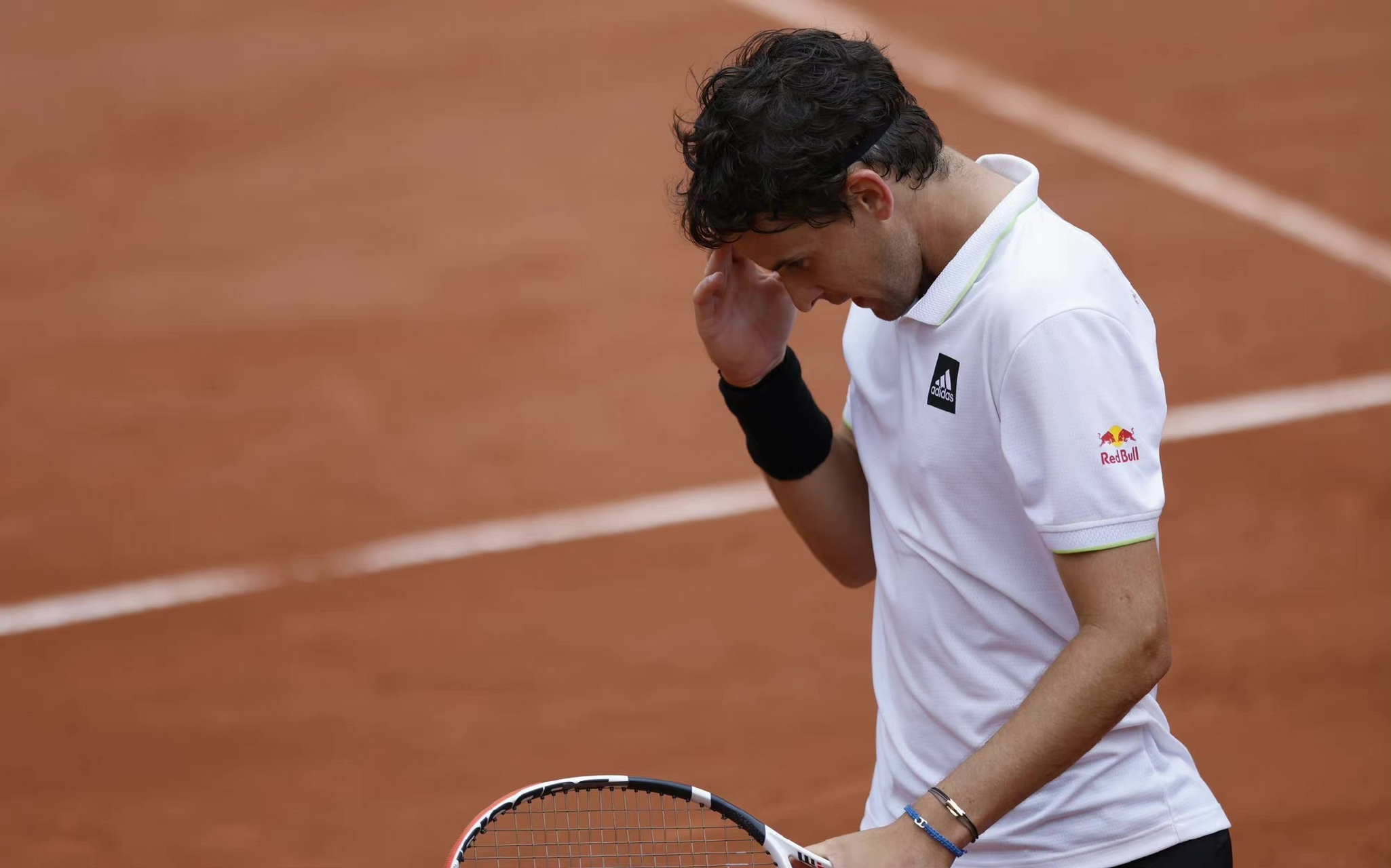 关于法网横扫温网，蒂姆点燃赛场的信息