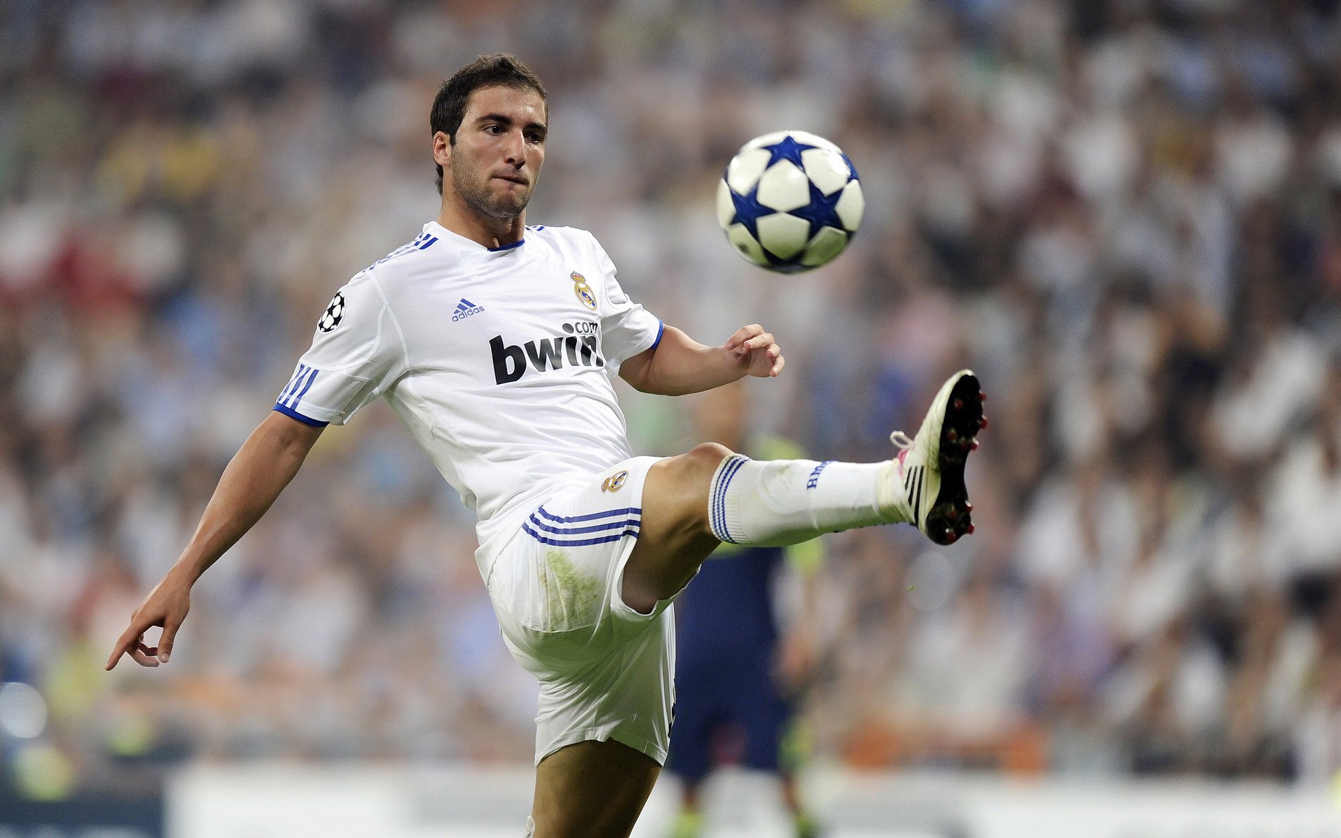 绿茵与硬木的错位交响，当欧冠决赛遇见篮网血拼辽宁