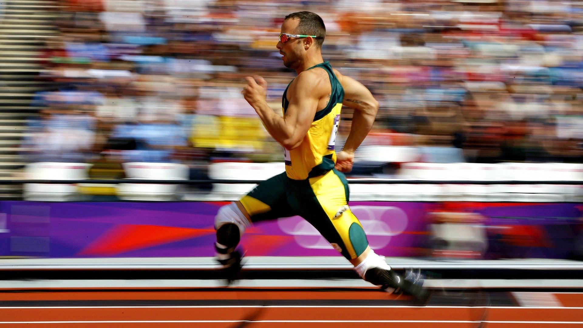 联合杯绝杀年终总决赛，德约科维奇如何用一场高光表现定义传奇